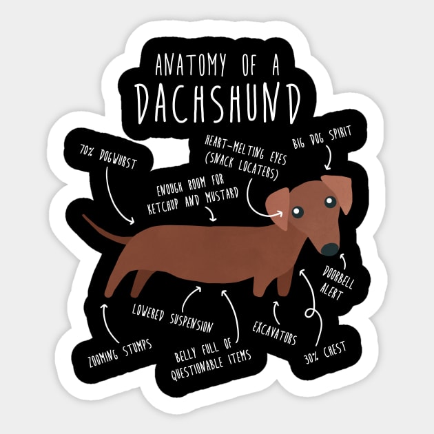 Red Dachshund Dog Anatomy Sticker by Psitta